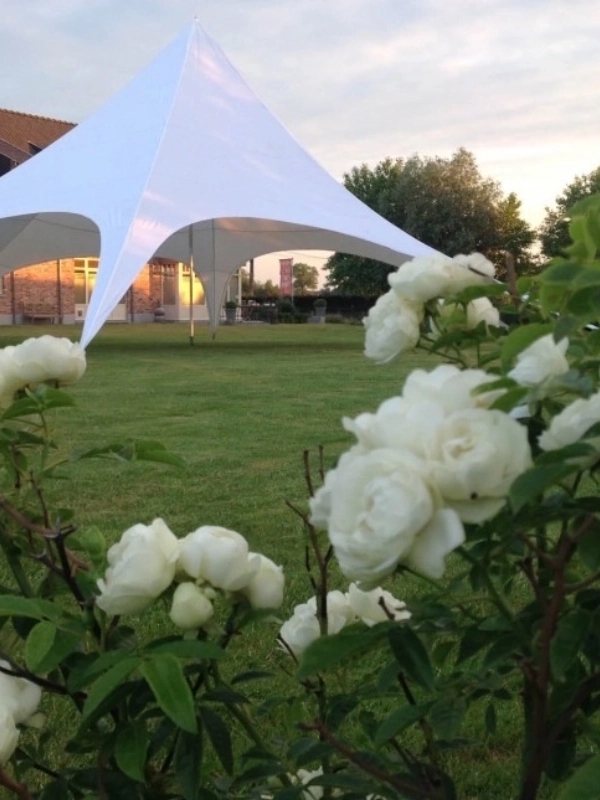 Stertent 12 meter